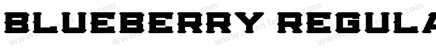 Blueberry Regula字体转换